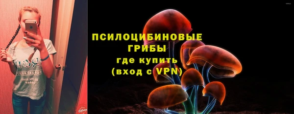 мяу мяу мука Зеленокумск