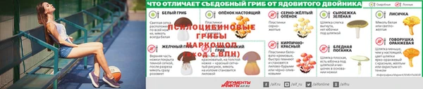 2c-b Заволжье